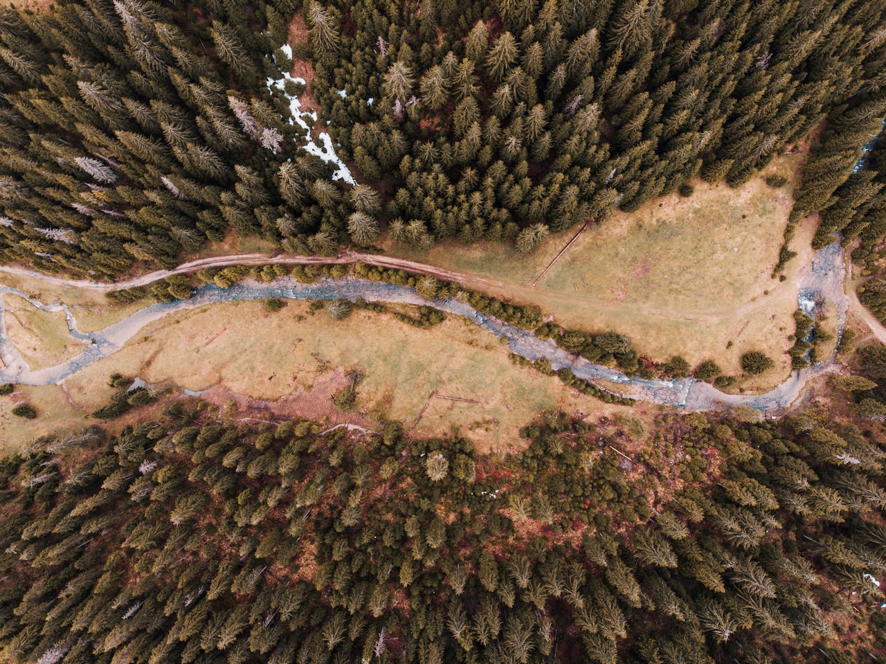 Drone beeld van bos